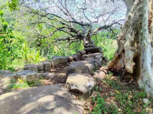 WhatsApp Image 2024-11-15 at 15.30.12_fa144f86.avif